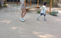 不装了你爹我是秦始皇